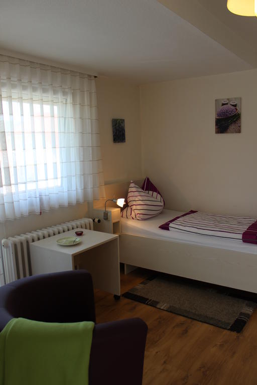 Saaletal Pension & Ferienwohnungen Bad Bocklet Cameră foto